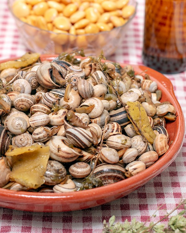Como Cozinhar Caracóis à Portuguesa